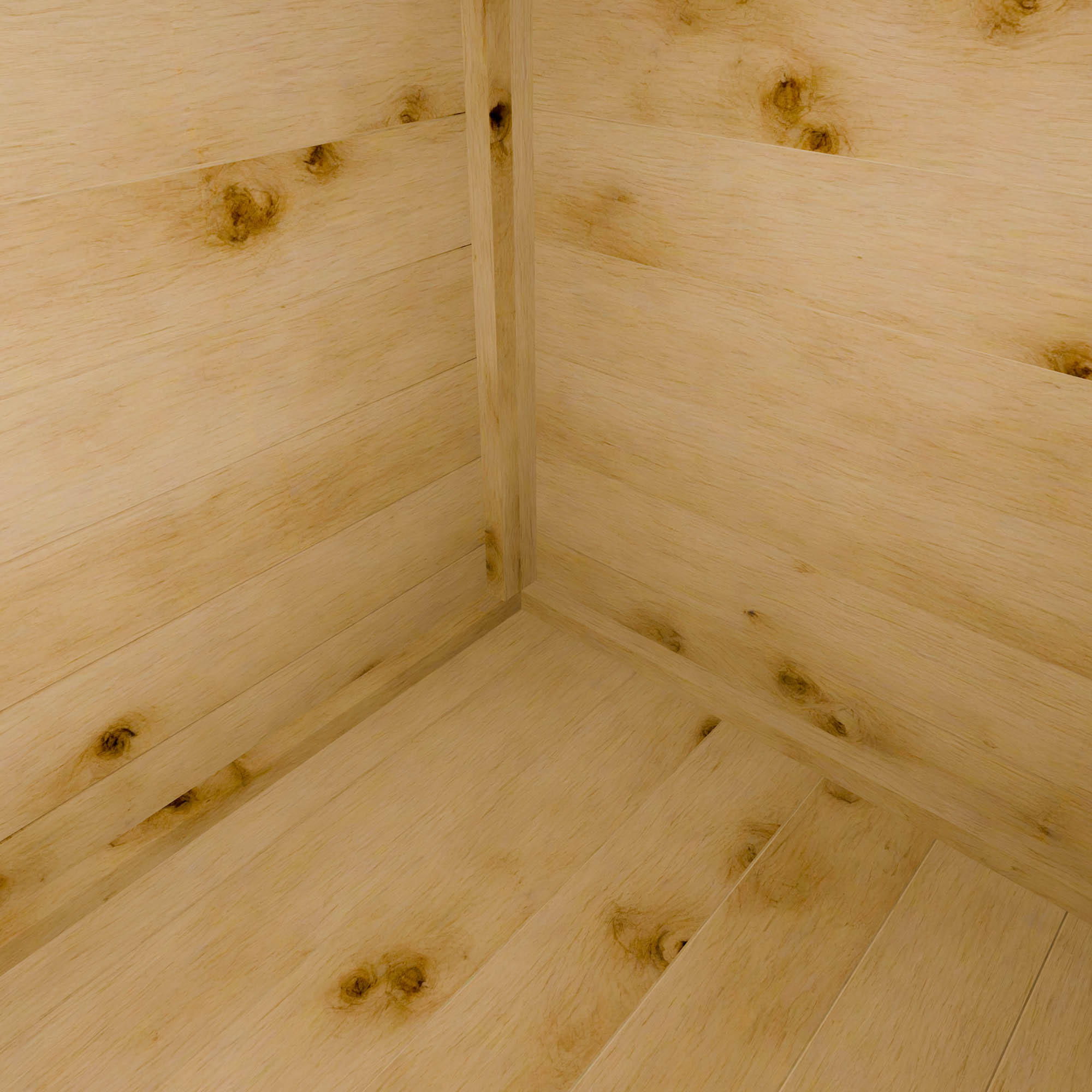 6 x 2'6 Tongue & Groove Pent Storage